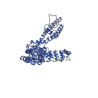 25720_7t6n_C_v1-1
Cryo-EM structure of TRPV5 in nanodiscs at pH6 state 2