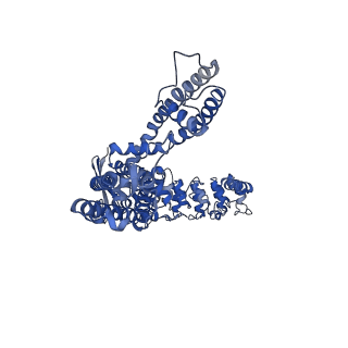 25720_7t6n_C_v1-2
Cryo-EM structure of TRPV5 in nanodiscs at pH6 state 2