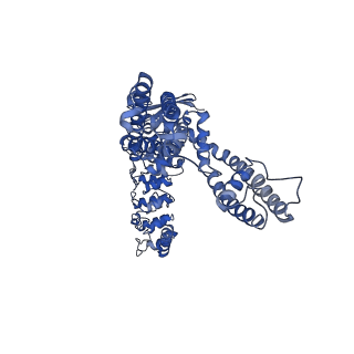 25720_7t6n_D_v1-1
Cryo-EM structure of TRPV5 in nanodiscs at pH6 state 2