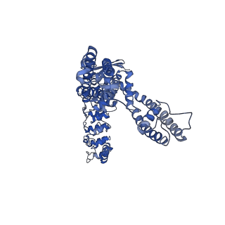 25720_7t6n_D_v1-2
Cryo-EM structure of TRPV5 in nanodiscs at pH6 state 2