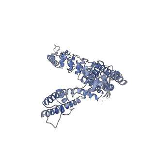 25721_7t6o_A_v1-1
Cryo-EM structure of TRPV5 in nanodiscs at pH6 state 3