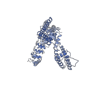 25721_7t6o_B_v1-2
Cryo-EM structure of TRPV5 in nanodiscs at pH6 state 3