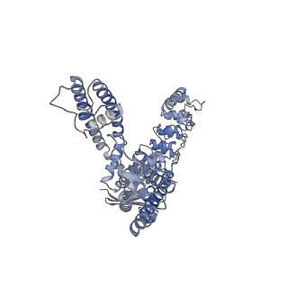 25721_7t6o_C_v1-2
Cryo-EM structure of TRPV5 in nanodiscs at pH6 state 3