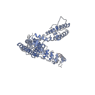 25721_7t6o_D_v1-1
Cryo-EM structure of TRPV5 in nanodiscs at pH6 state 3