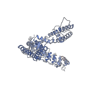 25721_7t6o_D_v1-2
Cryo-EM structure of TRPV5 in nanodiscs at pH6 state 3