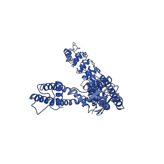 25723_7t6p_A_v1-1
Cryo-EM structure of TRPV5 T709D in nanodiscs