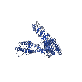 25723_7t6p_A_v1-2
Cryo-EM structure of TRPV5 T709D in nanodiscs