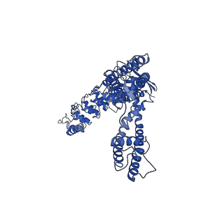 25723_7t6p_B_v1-1
Cryo-EM structure of TRPV5 T709D in nanodiscs