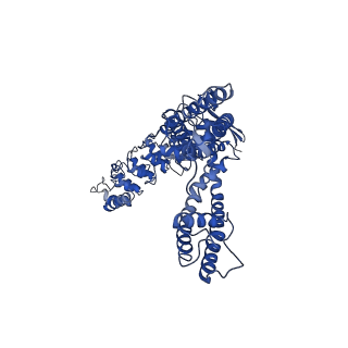 25723_7t6p_B_v1-2
Cryo-EM structure of TRPV5 T709D in nanodiscs