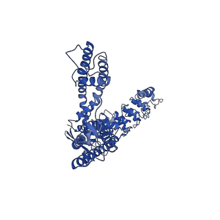 25723_7t6p_C_v1-1
Cryo-EM structure of TRPV5 T709D in nanodiscs