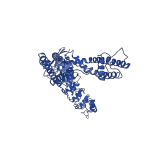 25723_7t6p_D_v1-2
Cryo-EM structure of TRPV5 T709D in nanodiscs