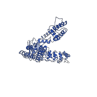 25724_7t6q_A_v1-1
Cryo-EM structure of TRPV5 T709D with PI(4,5)P2 in nanodiscs