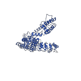 25724_7t6q_A_v1-2
Cryo-EM structure of TRPV5 T709D with PI(4,5)P2 in nanodiscs