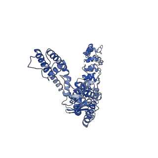 25724_7t6q_B_v1-2
Cryo-EM structure of TRPV5 T709D with PI(4,5)P2 in nanodiscs