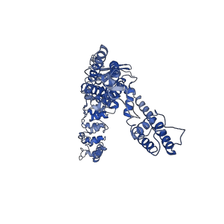 25724_7t6q_C_v1-2
Cryo-EM structure of TRPV5 T709D with PI(4,5)P2 in nanodiscs