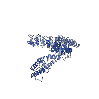 25724_7t6q_D_v1-1
Cryo-EM structure of TRPV5 T709D with PI(4,5)P2 in nanodiscs