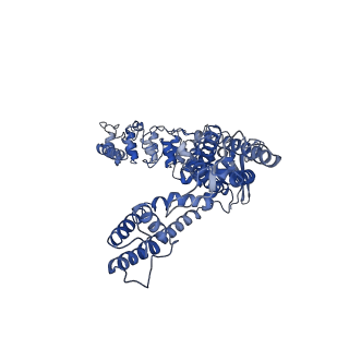 25724_7t6q_D_v1-2
Cryo-EM structure of TRPV5 T709D with PI(4,5)P2 in nanodiscs