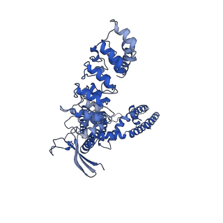 25725_7t6r_A_v1-2
Cryo-EM structure of TRPV5 T709D in nanodiscs in the presence of Calmodulin