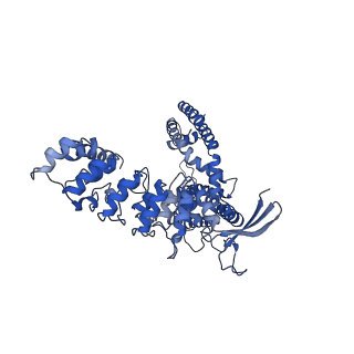 25725_7t6r_C_v1-1
Cryo-EM structure of TRPV5 T709D in nanodiscs in the presence of Calmodulin