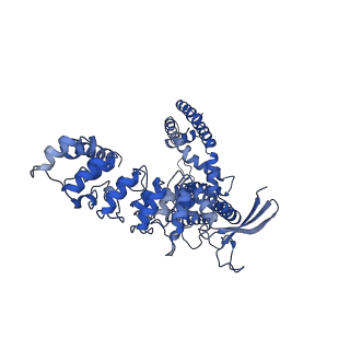 25725_7t6r_C_v1-2
Cryo-EM structure of TRPV5 T709D in nanodiscs in the presence of Calmodulin