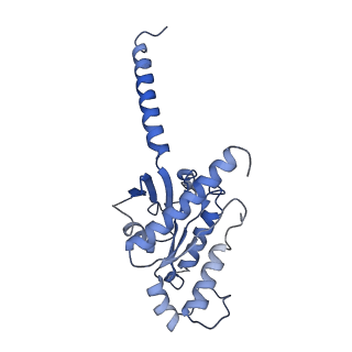 25727_7t6t_A_v1-1
Structure of the human FPR1-Gi complex with fMLFII