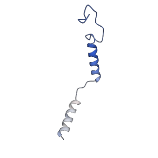 25727_7t6t_C_v1-1
Structure of the human FPR1-Gi complex with fMLFII