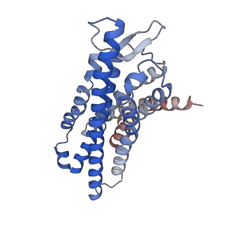 25727_7t6t_R_v1-1
Structure of the human FPR1-Gi complex with fMLFII