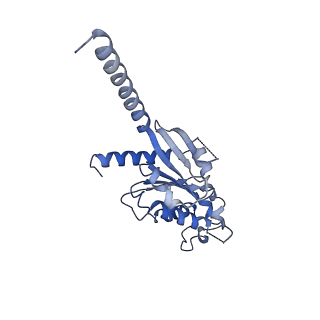 25728_7t6u_A_v1-1
Structure of the human FPR2-Gi complex with CGEN-855A