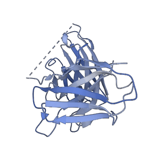 25728_7t6u_E_v1-1
Structure of the human FPR2-Gi complex with CGEN-855A