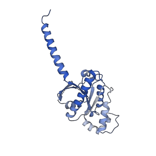25729_7t6v_A_v1-1
Structure of the human FPR2-Gi complex with fMLFII