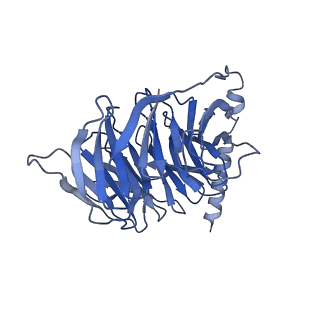 25729_7t6v_B_v1-1
Structure of the human FPR2-Gi complex with fMLFII
