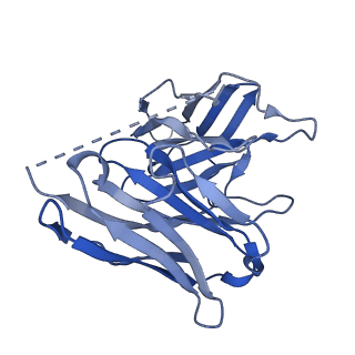 25729_7t6v_E_v1-1
Structure of the human FPR2-Gi complex with fMLFII