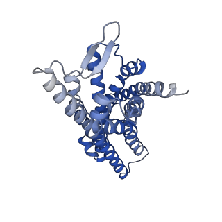 25729_7t6v_R_v1-1
Structure of the human FPR2-Gi complex with fMLFII