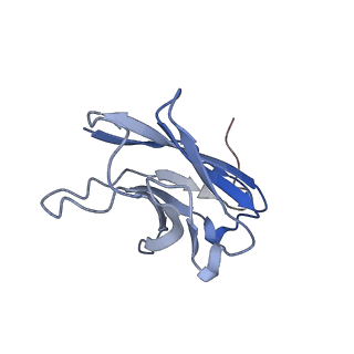 41062_8t60_B_v1-1
CryoEM structure of an inward-facing MelBSt at a Na(+)-bound and sugar low-affinity conformation