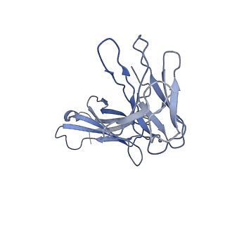 41062_8t60_L_v1-1
CryoEM structure of an inward-facing MelBSt at a Na(+)-bound and sugar low-affinity conformation