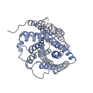 41066_8t69_A_v1-2
Human VMAT2 in complex with tetrabenazine