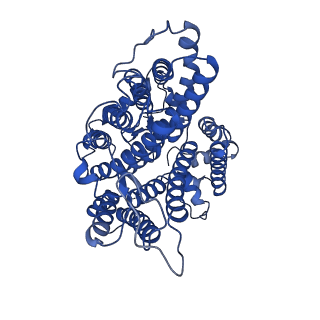 41081_8t6u_B_v1-2
Cryo-EM structure of human Anion Exchanger 1 bound to Dipyridamole