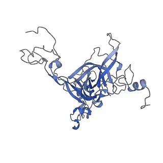 8362_5t62_E_v1-9
Nmd3 is a structural mimic of eIF5A, and activates the cpGTPase Lsg1 during 60S ribosome biogenesis: 60S-Nmd3-Tif6-Lsg1 Complex