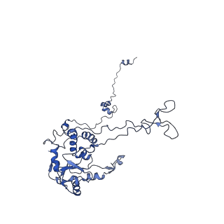 8362_5t62_F_v1-9
Nmd3 is a structural mimic of eIF5A, and activates the cpGTPase Lsg1 during 60S ribosome biogenesis: 60S-Nmd3-Tif6-Lsg1 Complex