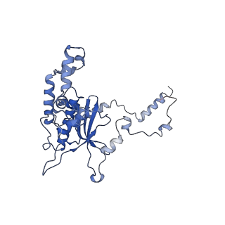 8362_5t62_G_v1-9
Nmd3 is a structural mimic of eIF5A, and activates the cpGTPase Lsg1 during 60S ribosome biogenesis: 60S-Nmd3-Tif6-Lsg1 Complex