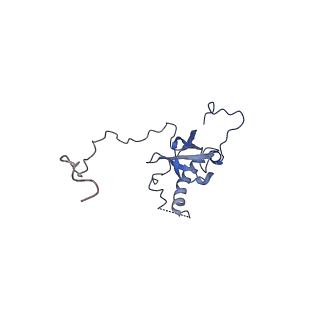 8362_5t62_H_v1-9
Nmd3 is a structural mimic of eIF5A, and activates the cpGTPase Lsg1 during 60S ribosome biogenesis: 60S-Nmd3-Tif6-Lsg1 Complex