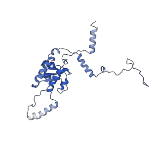 8362_5t62_J_v1-9
Nmd3 is a structural mimic of eIF5A, and activates the cpGTPase Lsg1 during 60S ribosome biogenesis: 60S-Nmd3-Tif6-Lsg1 Complex
