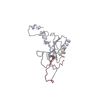 8362_5t62_L_v1-9
Nmd3 is a structural mimic of eIF5A, and activates the cpGTPase Lsg1 during 60S ribosome biogenesis: 60S-Nmd3-Tif6-Lsg1 Complex
