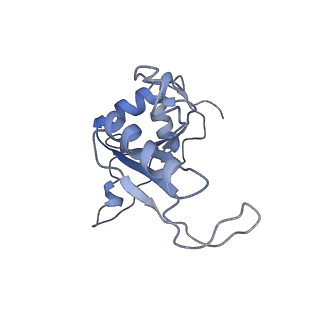8362_5t62_M_v1-9
Nmd3 is a structural mimic of eIF5A, and activates the cpGTPase Lsg1 during 60S ribosome biogenesis: 60S-Nmd3-Tif6-Lsg1 Complex