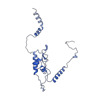 8362_5t62_N_v1-9
Nmd3 is a structural mimic of eIF5A, and activates the cpGTPase Lsg1 during 60S ribosome biogenesis: 60S-Nmd3-Tif6-Lsg1 Complex