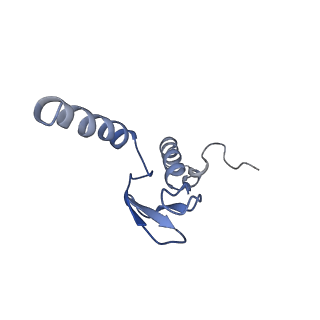 8362_5t62_R_v1-9
Nmd3 is a structural mimic of eIF5A, and activates the cpGTPase Lsg1 during 60S ribosome biogenesis: 60S-Nmd3-Tif6-Lsg1 Complex