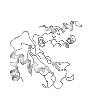 8362_5t62_S_v1-9
Nmd3 is a structural mimic of eIF5A, and activates the cpGTPase Lsg1 during 60S ribosome biogenesis: 60S-Nmd3-Tif6-Lsg1 Complex