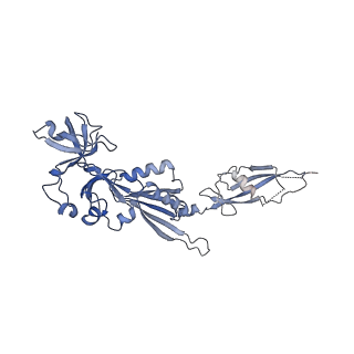 8362_5t62_V_v1-9
Nmd3 is a structural mimic of eIF5A, and activates the cpGTPase Lsg1 during 60S ribosome biogenesis: 60S-Nmd3-Tif6-Lsg1 Complex