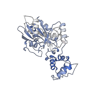 8362_5t62_W_v1-9
Nmd3 is a structural mimic of eIF5A, and activates the cpGTPase Lsg1 during 60S ribosome biogenesis: 60S-Nmd3-Tif6-Lsg1 Complex