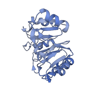 8362_5t62_X_v1-9
Nmd3 is a structural mimic of eIF5A, and activates the cpGTPase Lsg1 during 60S ribosome biogenesis: 60S-Nmd3-Tif6-Lsg1 Complex